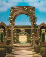 Santa Maria Novella - Gelsomino Parfum