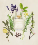 Santa Maria Novella - Acqua della Regina EdC – Bild 3