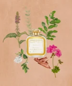 Santa Maria Novella - Patchouli EdC – Bild 4