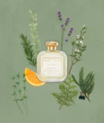 Santa Maria Novella - Pot Pourri EdC - immagine 5