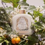 Santa Maria Novella - Crema Fluida Acqua della Regina