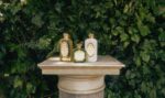 Santa Maria Novella - Gelsomino Crema Fluida 250ml - immagine 3