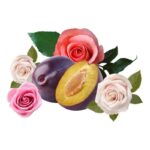 The Merchant of Venice - Murano Art Collection - Divine Rose Parfum - immagine 5