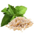 The Merchant of Venice - Murano Art Collection - Nuit Feline Parfum – Bild 6