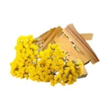 The Merchant of Venice - Progetti Speciali Collection - Gold Regatta Parfum - immagine 4
