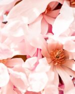 Clive Christian – Noble Collection - VIII Magnolia Parfum - immagine 5