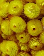 Clive Christian – Noble Collection - VIII Immortelle Parfum - immagine 5