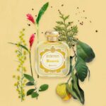 Santa Maria Novella - Bizzarria Parfum – Bild 4