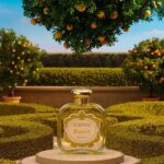 Santa Maria Novella - Bizzarria Parfum