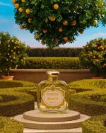 Santa Maria Novella - Bizzarria Parfum