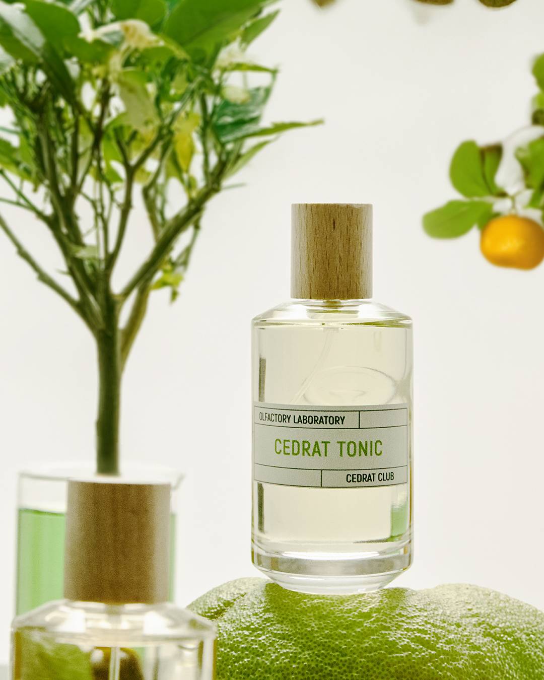 LI-IMAGINARIUM1-1.jpg Liquides Imaginaires - Cedrat Tonic Eau de Parfum – Bild 1