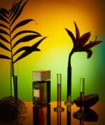 Gritti - Ivy Collection - Mango Aoud Parfum – Bild 4