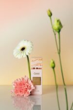 Gritti - White Collection - Tutù Parfum - immagine 3