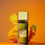 Gritti - Ivy Collection - Mango Aoud Parfum