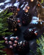 Roja - Elysium Collection - Elysium Noir Parfum - immagine 2