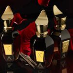 Xerjoff - Oud Stars Collection - Alexandria Orientale Parfum
