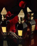 Xerjoff - Oud Stars Collection - Alexandria Orientale Parfum