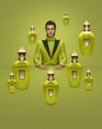 Xerjoff - Vibe Collection - Amabile Parfum