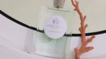Atkinsons London 1799 - Robinson Bear Eau de Parfum – Bild 3