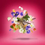 Xerjoff - Vibe Collection - XJV Coro Parfum - immagine 5
