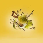 Xerjoff - Vibe Collection - Erba Gold Parfum – Bild 5