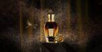 Xerjoff - Spotlight Collection - La Capitale Parfum - immagine 4