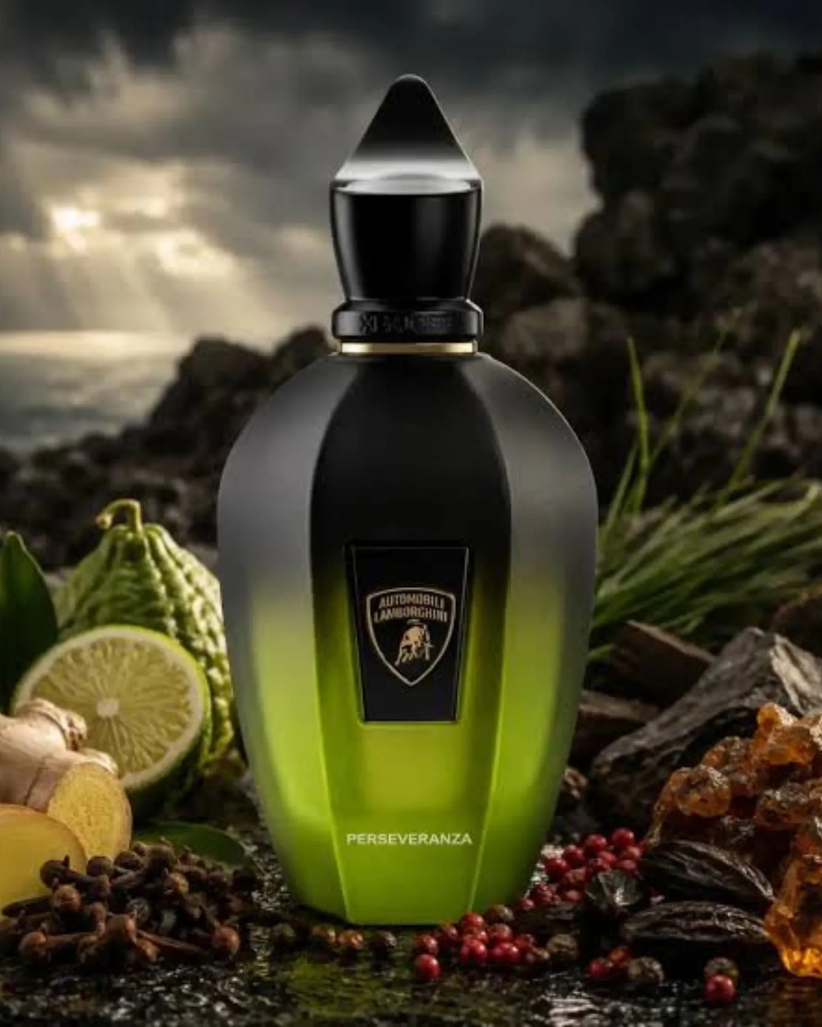 1781438065-11 (11) Xerjoff x Automobili Lamborghini - Perseveranza Eau de Parfum – Bild 1