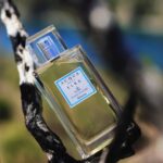 Acqua dell'Elba - Essenza di un’Isola "Altrove" Uomo Eau de Parfum