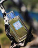 Acqua dell'Elba - Essenza di un’Isola "Altrove" Uomo Eau de Parfum
