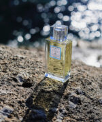 Acqua dell'Elba - Essenza di un’Isola "Altrove" Uomo Eau de Parfum – Bild 4
