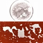 Borntostandout - Dirty Milk Extrait de Parfum – Bild 4
