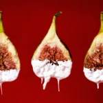 Borntostandout -  Fig Porn Extrait de Parfum - immagine 6