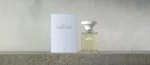 Borntostandout - Candy Dust Eau Intimité – Bild 5