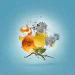 Xerjoff - Vibe Collection - Erba Pura Parfum - immagine 3